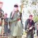 Bandits abduct APC chieftains in Kaduna