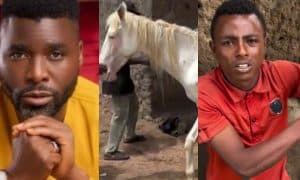Ibrahim Chatta to arrest staff over horse