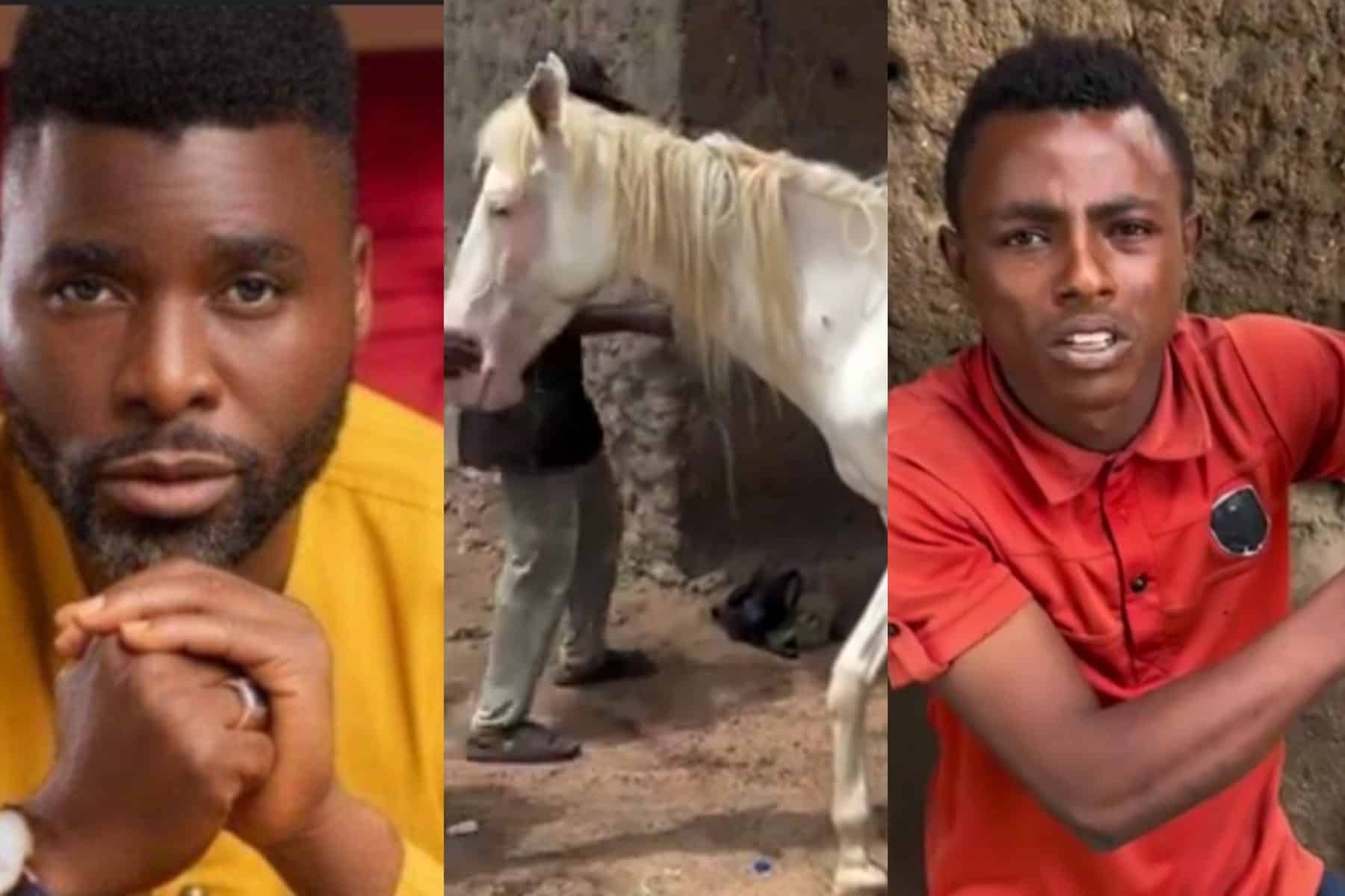 Ibrahim Chatta to arrest staff over horse